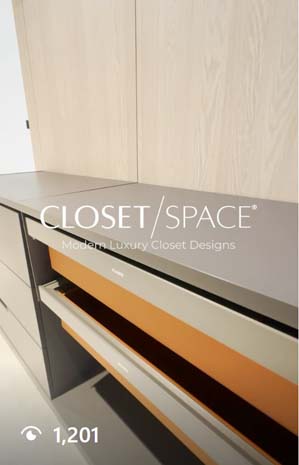 Modern Luxury Closet Design